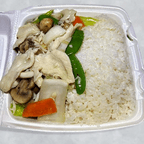Best M14. Moo Goo Gai Pan-M14. 蘑菇鸡片 in Beverly, MA